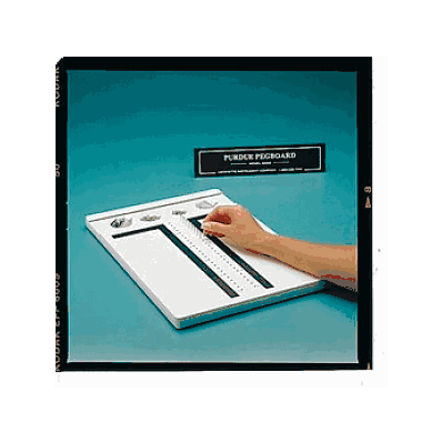 Record Blanks By Patterson - Adult Record Bla
