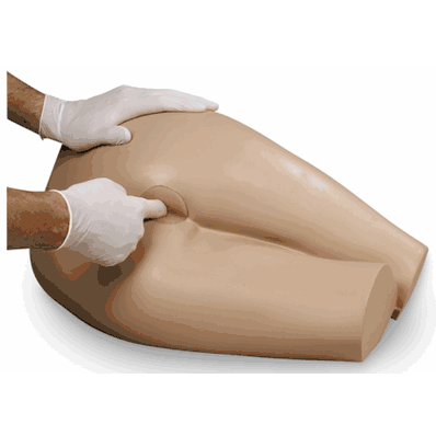 Rectal Exam Model