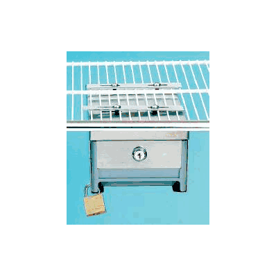 Refrigerator Storage Box Stainless Steel - Bo
