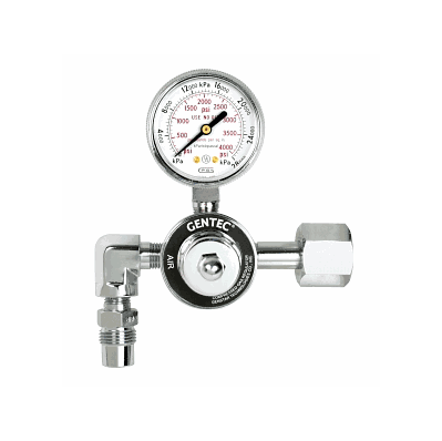 Regulator, Air, 50 Psi, Brass, 1check, 346