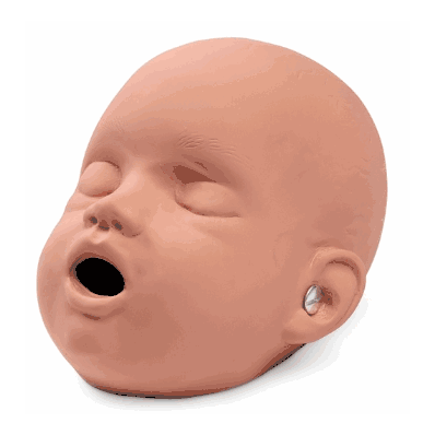 SB48092 Replacement Head Sani-Baby