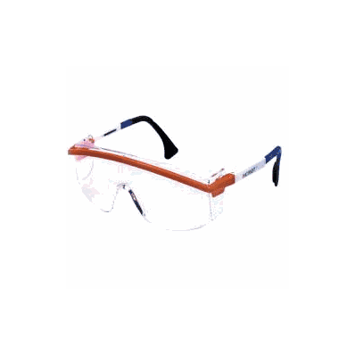 Replacement Lens Polycarbonate, Clear - Lens,