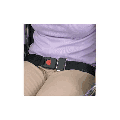 Restraint Strap - Buckle, Auto Blt 2pc F/WheE