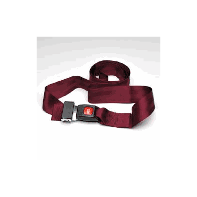 Restraint Strap Moorebrand Airplane Buckle 1