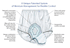 <h2>Reusable Adult Absorbent Underwear, Size X-Large, 42 to 44" Waist/Hip Pull On, Male, Color: White, Heavy Absorbency, sold as Each by HealthDri brand, Salk Inc BH0XL </h2>
