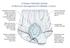 <h2>Reusable Light Absorbency Underwear, Size 8, 30 to 32" Waist/Hip Pull On, Female, Color: White, Adult, sold as Each by HealthDri brand, Salk Inc   PMC008 </h2>