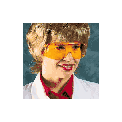 Safety Glasses Polysafe Pluswraparound - Gla