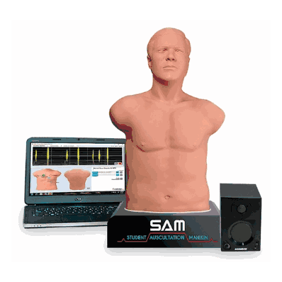 SAM 3G Student Auscultation Manikin - Light