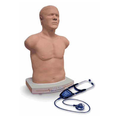 Trainer Sam Wifi Sim Light*D/S*