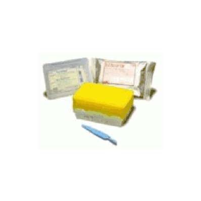 Scrub Brush E-z Scrub Polyethylene Green - S