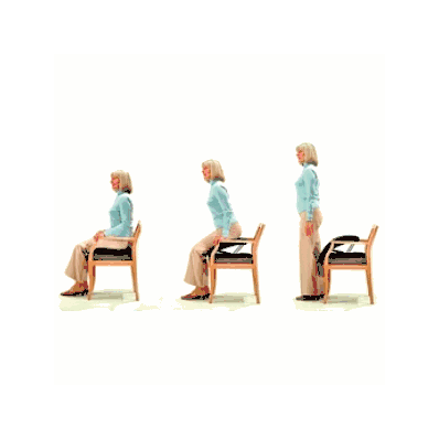 Seat Assist Uplifts By Patterson - AsSist, Se