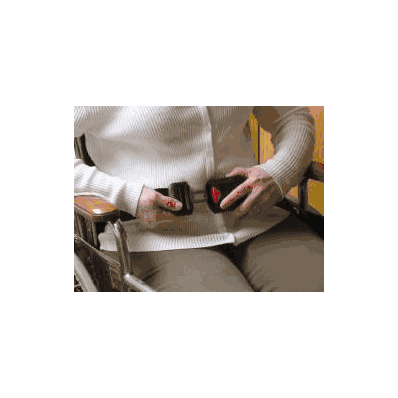 Seat Belt - Belt, Seat F/Fallguard Monit - S