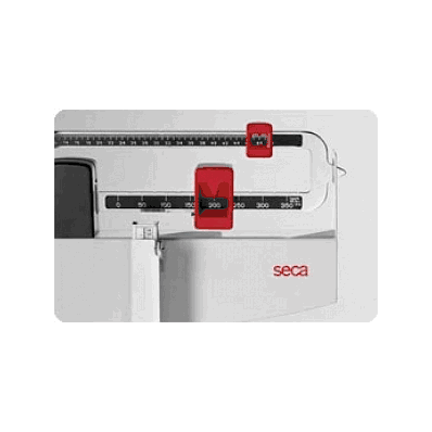 Seca 700 Physicial Beam Scale By Patterson Me