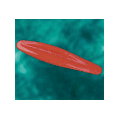 Seizure Bite Stick, Color: Red
