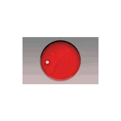 Sensitivity Disc, code P, 5.0 ug Optochin, 6 mm