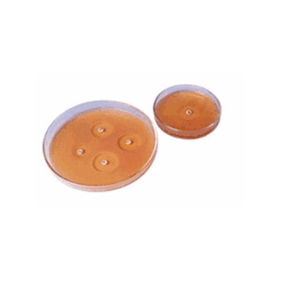 Sensitivity Disc Bacitracin 10 g - Sensi-dis