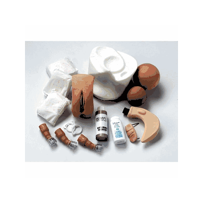 Set, Female Fundus, F / Nursing Anne - Medlin