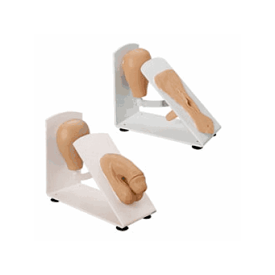 Set, Male And Female, Simulator, Cath - Medli