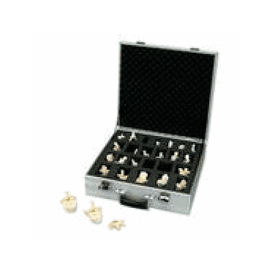Set of 24 BONElike Vertebrae Models