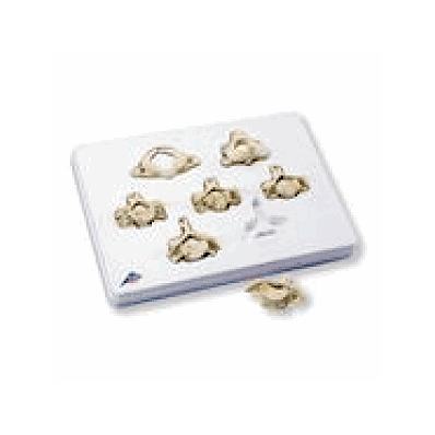 Set of 7 BONElike Cervical Vertebrae