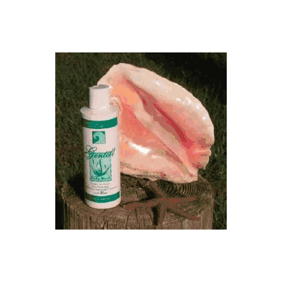 Shampoo And Body Wash Gentell Body 8 Oz. Pl