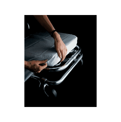 Sheet, Stretcher, Tissue / Poly, 40 X 90 In -