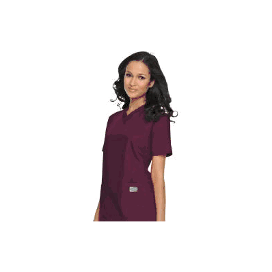 Shirt, Tunic StafF V-neck Taupe Lg - - Landa