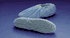 Shoe Cover One Size Fits Most Non-Skid Blue Non Sterile Sold as 150 pr/cs, AAA-COMPARABLE to Busse 346<br><br><font color="red"><b>BACK TO THE PRODUCT TABLE, <a href="https://www.aaawholesalecompany.com/apparel-gowns-protective-procedure-gowns.html">CLICK HERE</a></b></font>