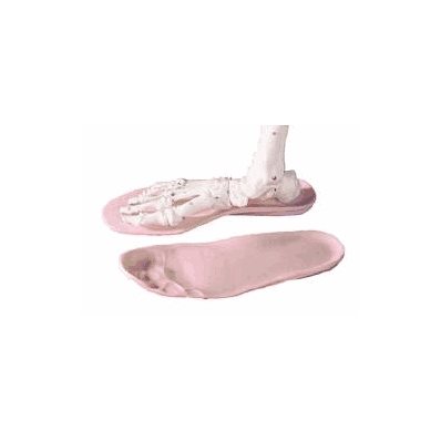 Shoe Cushion D-soles D Femal Size 11-1/2 And