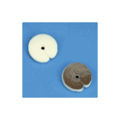 Silver Alginate Catheter Dressing Algidex Ag