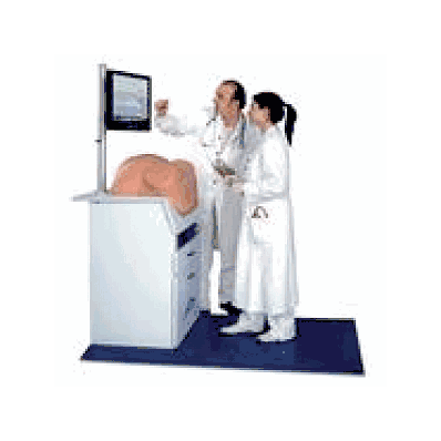 SIMone Birthing Simulator