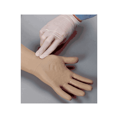 Simulator, Blood Pressure - Medline