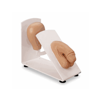 Simulator, Cath, Male - Medline