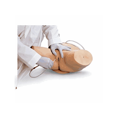 Simulator, Catheterization, Female - Medline