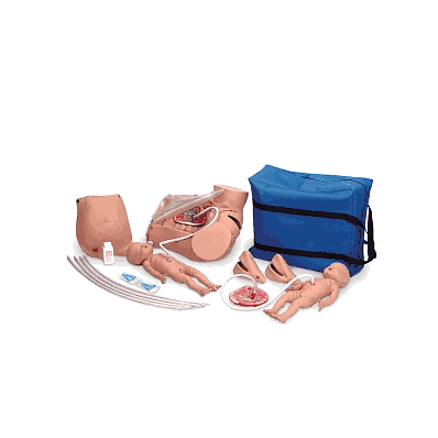 Simulator, Childbirth, Advanced - Medline