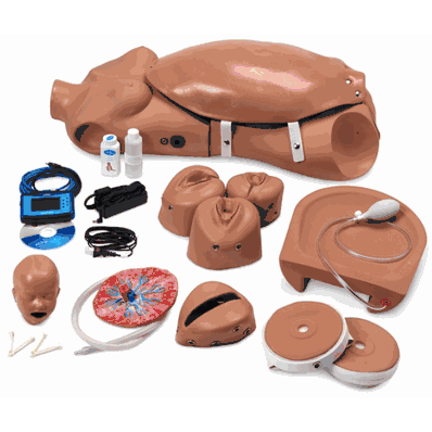 Noelle Birthing Torso Medium