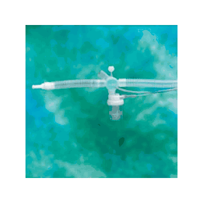 Single Limb. IpPb By Teleflex - Circuit, Univ