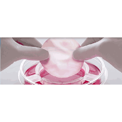 Skin Repair Therapy, Round