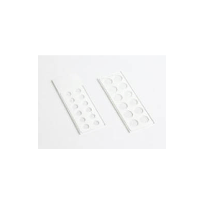 Slide, Multi-spot 6mm (100/Cs) - - Fisher