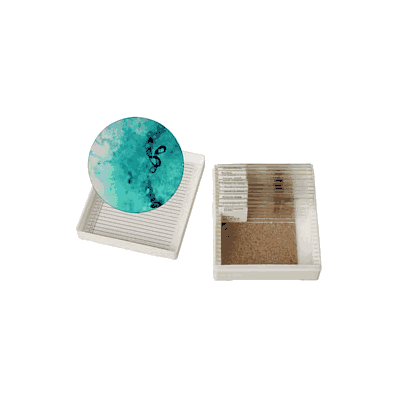 Slide Set, Microbiology (12/Pk) - - Nasco