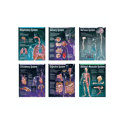 Enasco SmartCharts, set of 6 Charts