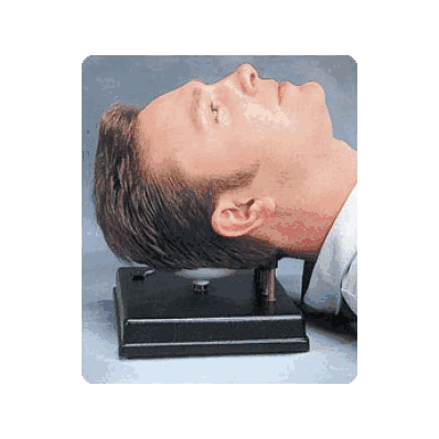 Soft Tissue Occiptal Release - Medline