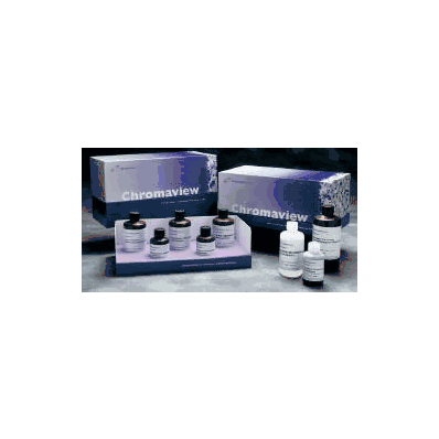Special Staining Kit Chromaview - Periodic A