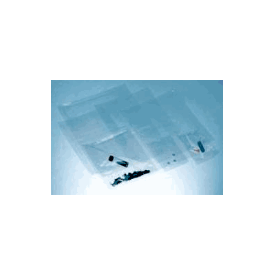Specimen Pouch, 10 x 12" Ampac Flexibles SealPAK