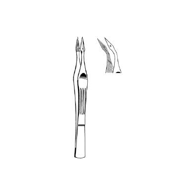 Splinter Forceps Carmalt Tweezer Type Curved