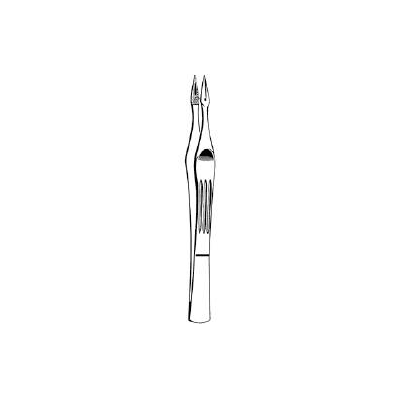Splinter Forceps Carmalt Tweezer Type Straigh