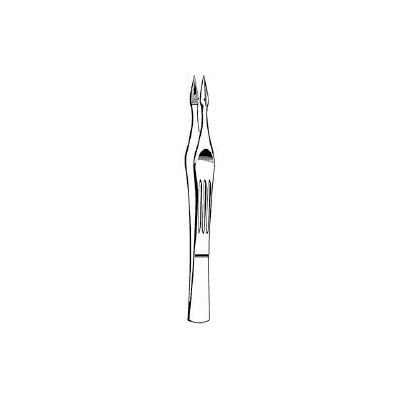 Splinter Forceps Carmalt Tweezer Type Straigh