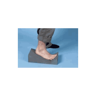 Axial Poser Sponge - Sponge, Axial Poser Podi