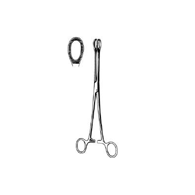 9-1/2" Sponge Forceps, Straight, Serrated