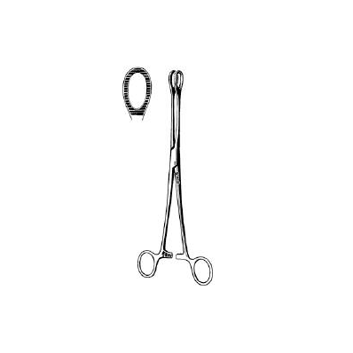 Sponge Forceps Foerster Scissor Type Straight